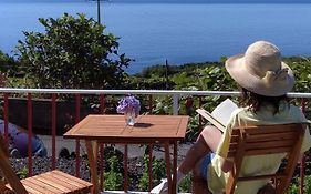 Casa Do Girassol, Sunflower Guest House